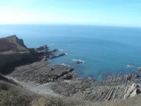 ソルティ コテージ バッドのホテル