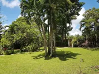 Habitation Villa les Cassias - Homestay