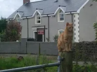 Bay Cottage Bed & Breakfast - Park Yeri