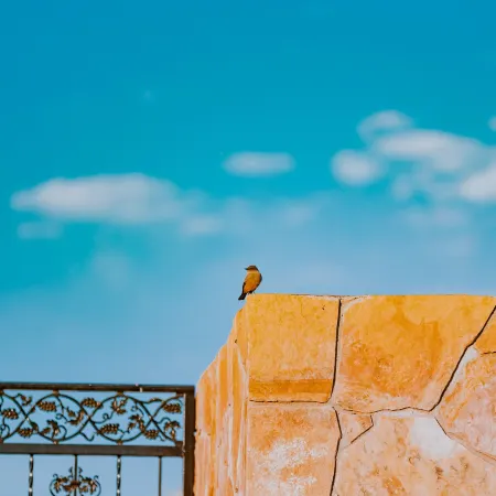 Hacienda Los Olivos, Valle de Guadalupe