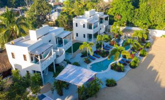 Blue Palm Bacalar