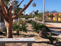 Hotel Las Palmas Hotels in San Felipe