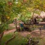 Pousada Araras Pantanal Ecolodge - 2-Star