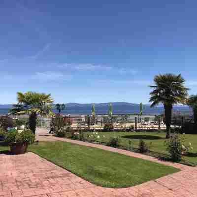 Buena Vista by the Sea Hotel Exterior