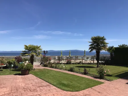 Buena Vista by the Sea