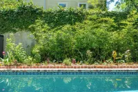 帶美麗花園和加熱泳池的小屋 - 別墅