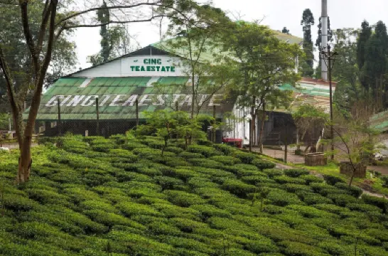 Ging Tea House Hotels in 