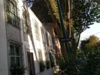Súperanfitrión Coyoacán El Alebrije