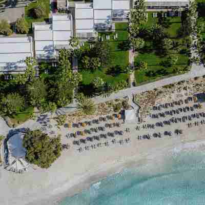 Nissi Beach Resort Hotel Exterior