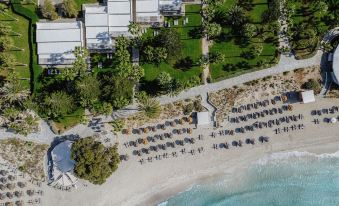 Nissi Beach Resort