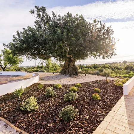 Quinta da Baleeira