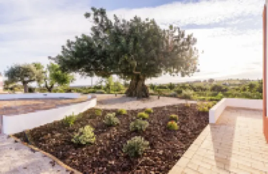 Quinta da Baleeira