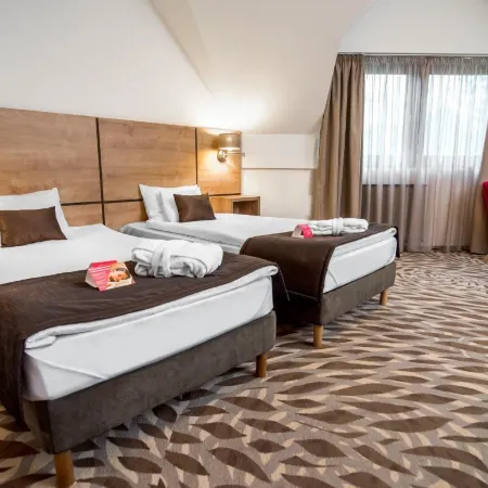 Rubin Wellness & Conference Hotel