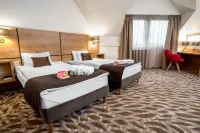 Rubin Wellness & Conference Hotel Hotels in 