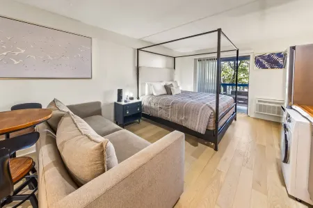 Beautiful new studio on the water