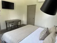 2024 built Asheville retreat, fireplace,fire pit