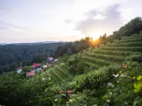 Vineyard Cottage Sonce Hotels in Grosuplje