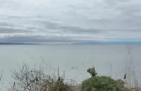 Cute Studio Spectacular-endless Ocean Views charming Depot Hill Capitola Village