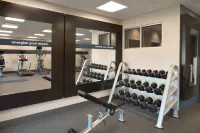 Hampton Inn & Suites Rosemont Chicago O'Hare - Gym