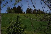Quiet vacation apartment in the southern Black Forest, 10 minutes from St. Blasien Hotels in Dachsberg