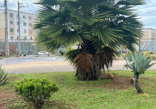 5 Next Arpt Confins, Cid Galo, Jehovah, 15min BH Hotels in Vespasiano