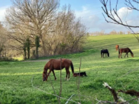 Country gite with view of Monflanquin