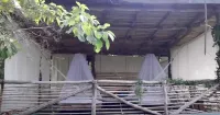 Tree house Pergola Swimming pool at a virgin beach