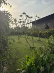 The Greenwood Farm And Lawn -Bijwasan - Villas