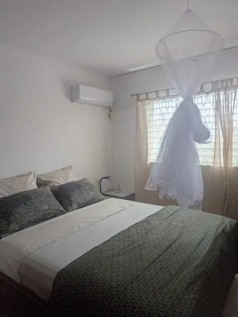 Charming T2 with trees and eleven-square-meter terrace.