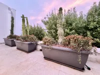 18zero2 Luxury RoomsStella verde Hotels in Torre a Mare