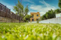 Sapphire House - whole house with garden