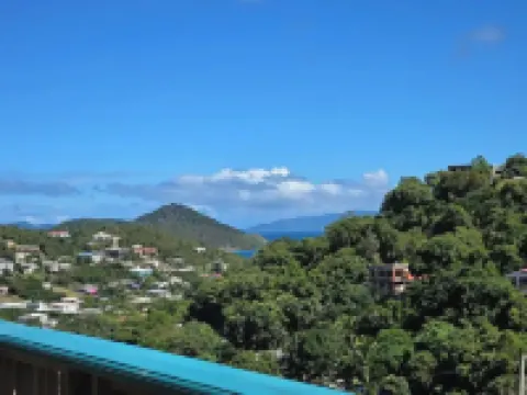 Charming 2- Bedroom Apartment with AC, WiFi in St Thomas' East End