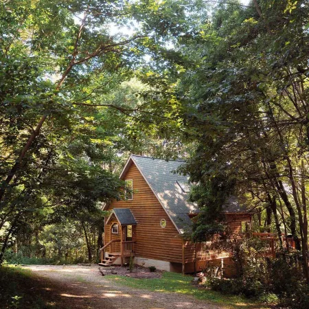 Cheerful Two Bdrm Cabin with Hot Tub & Pet Friendly