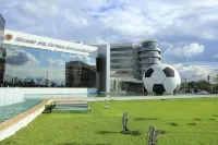 Ibis Asuncion