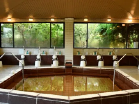 鶴舞ムーンレイクホテル【PGM】 市原のホテル