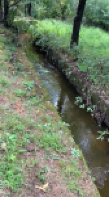 Peddlers Carriage house