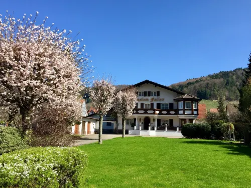 Hotel Gasthaus Adler