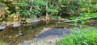 Unterwalden NEW HotTub Firepit SmartTVs Full Kitchen Mt Hideaway Trout Stream