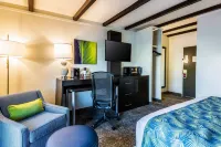 Oasis Hotel & Conv. Center, Ascend Hotel Collection - balcony