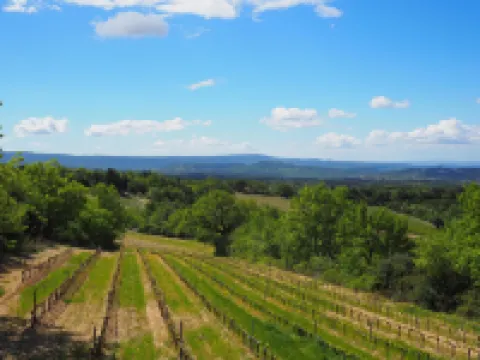 Holiday Home in Provence near Mont Ventoux