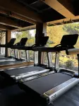 Pleasant Tree Hotels - Luxury Stay Amidst Nature - ジム