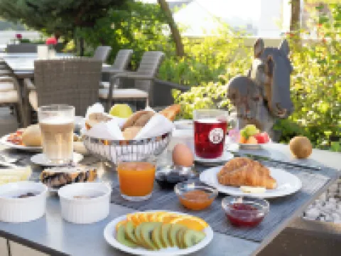 PLAZA INN Wels Hotéis em Wels