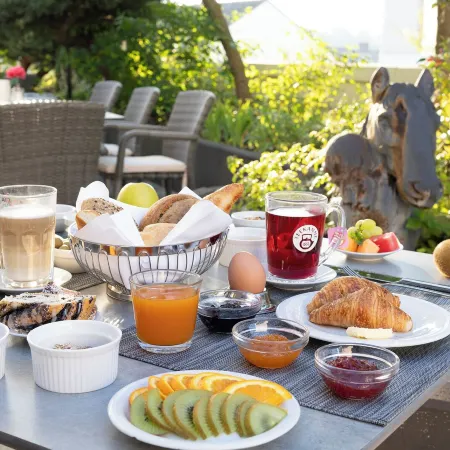 PLAZA INN Wels