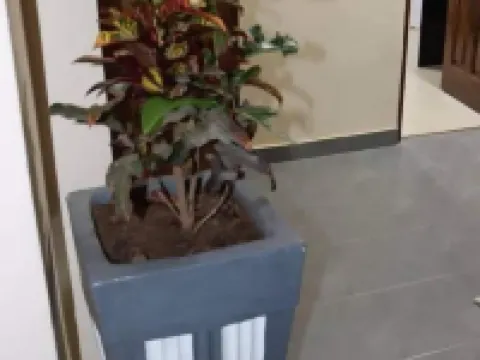 Casa Camba Mar Hotels in Bissau