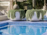 The Brighton Hotel Sydney – MGallery Collection