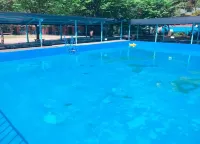Yangju Vitamin Pension & Campground - Pool