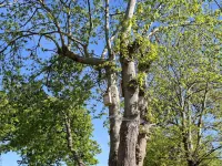 Maison Avec Jardin en Campagne à 5 min du Centre-ville et à 15 min des Plages
