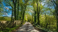 Blue Bell - 2 Bed Cottage -  Red Forest Retreats Hotels in 