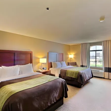 Comfort Inn Edinburg South