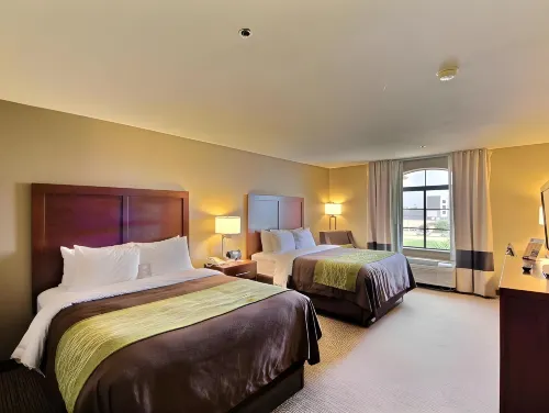 Comfort Inn Edinburg South